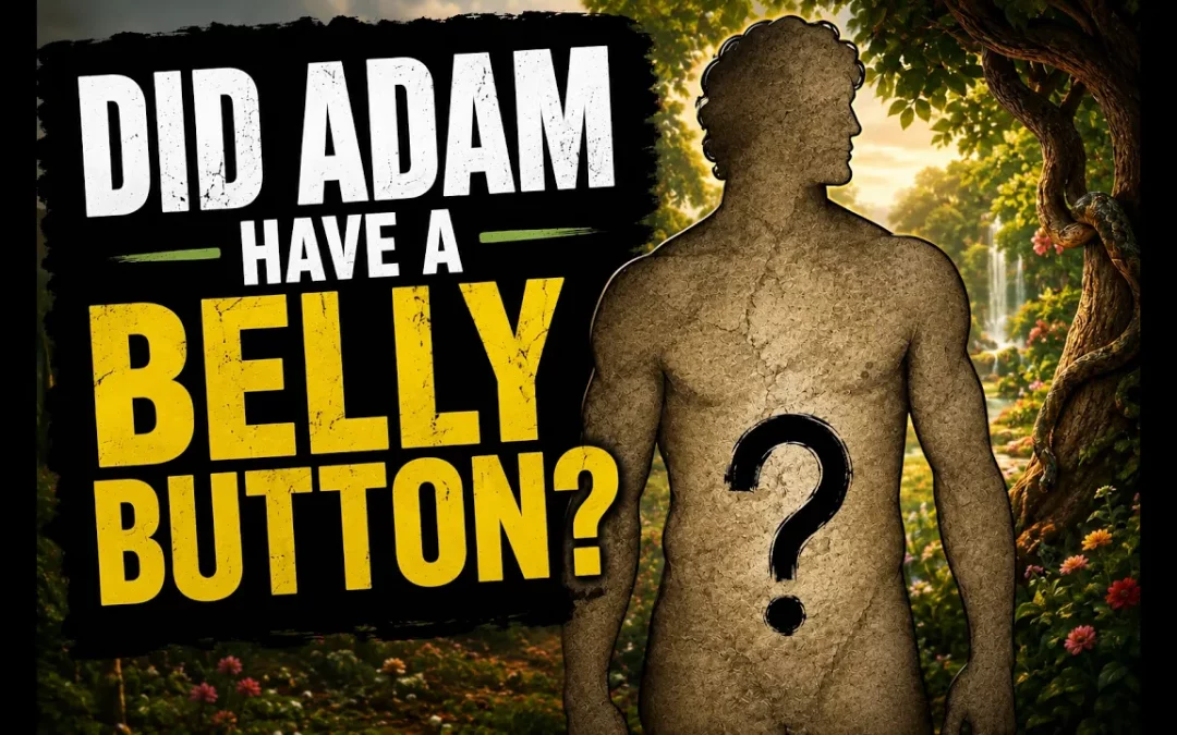 Did Adam have a belly button?